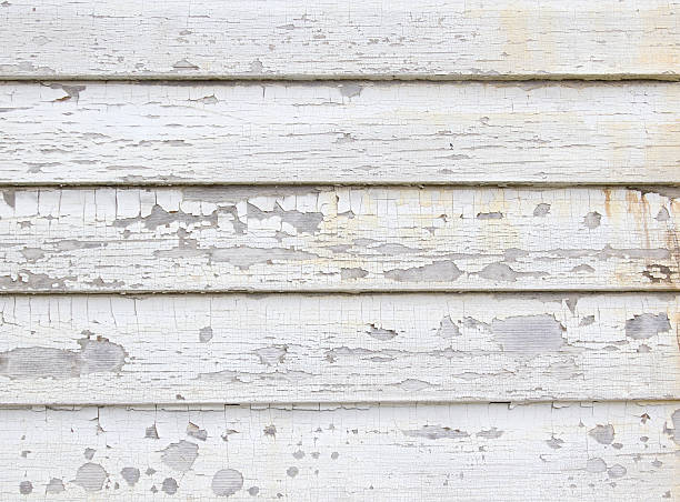 Best Storm Damage Siding Repair  in Cedar Glen West, NJ