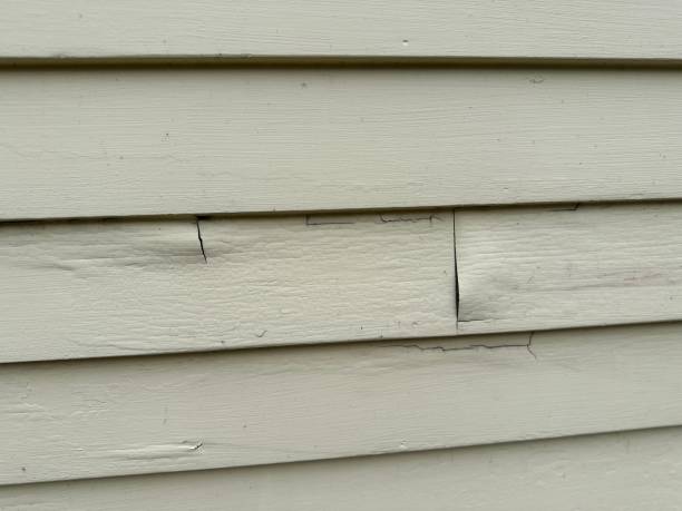 Best Historical Building Siding Restoration  in Cedar Glen West, NJ